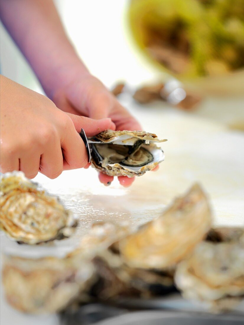 A woman opening a fresh oyster