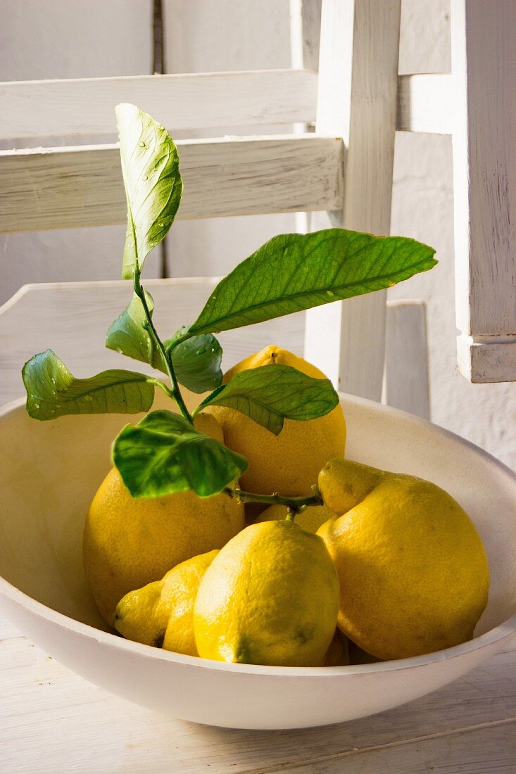Zitronen mit Blättern in weißer Schale auf weißem Holzstuhl