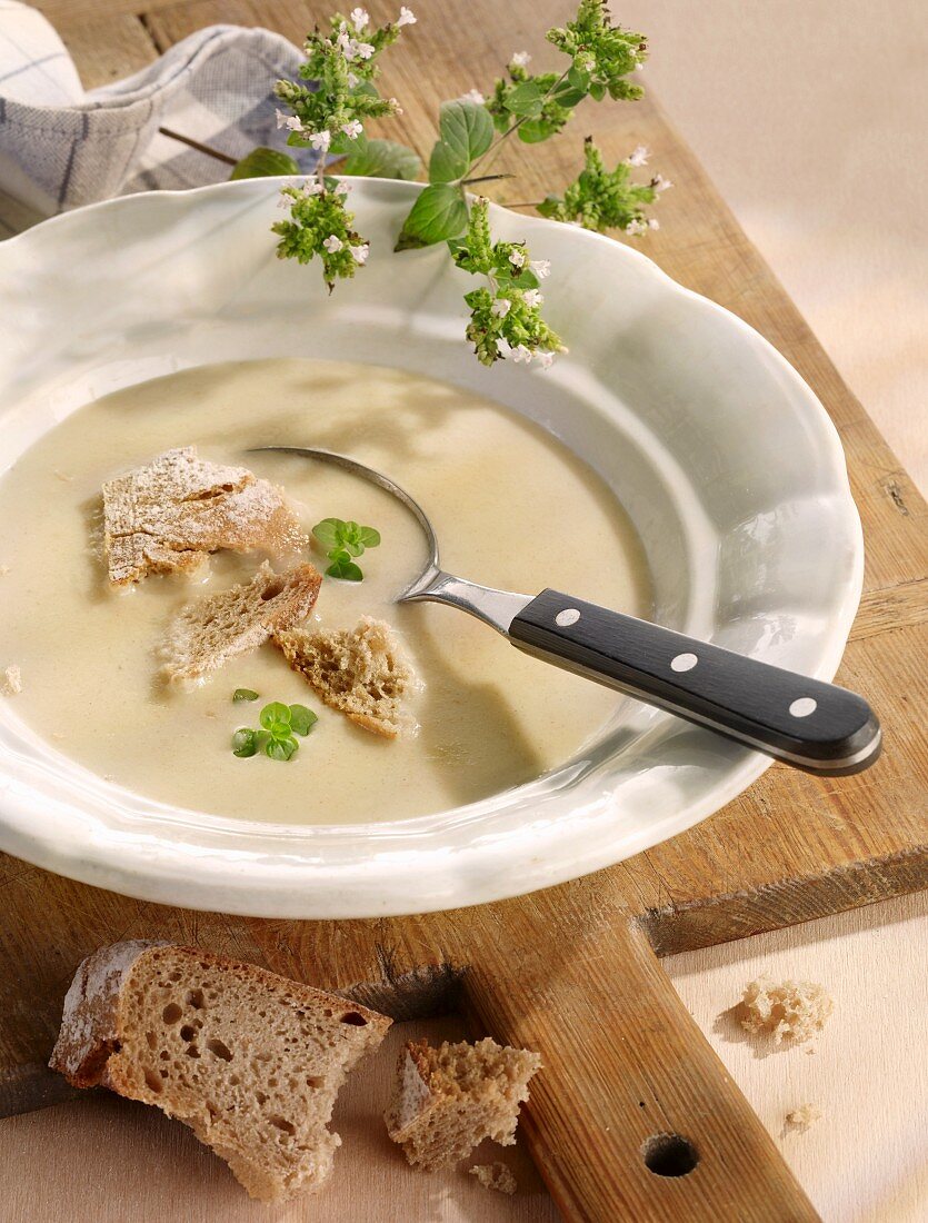 Bread soup with fresh oregano