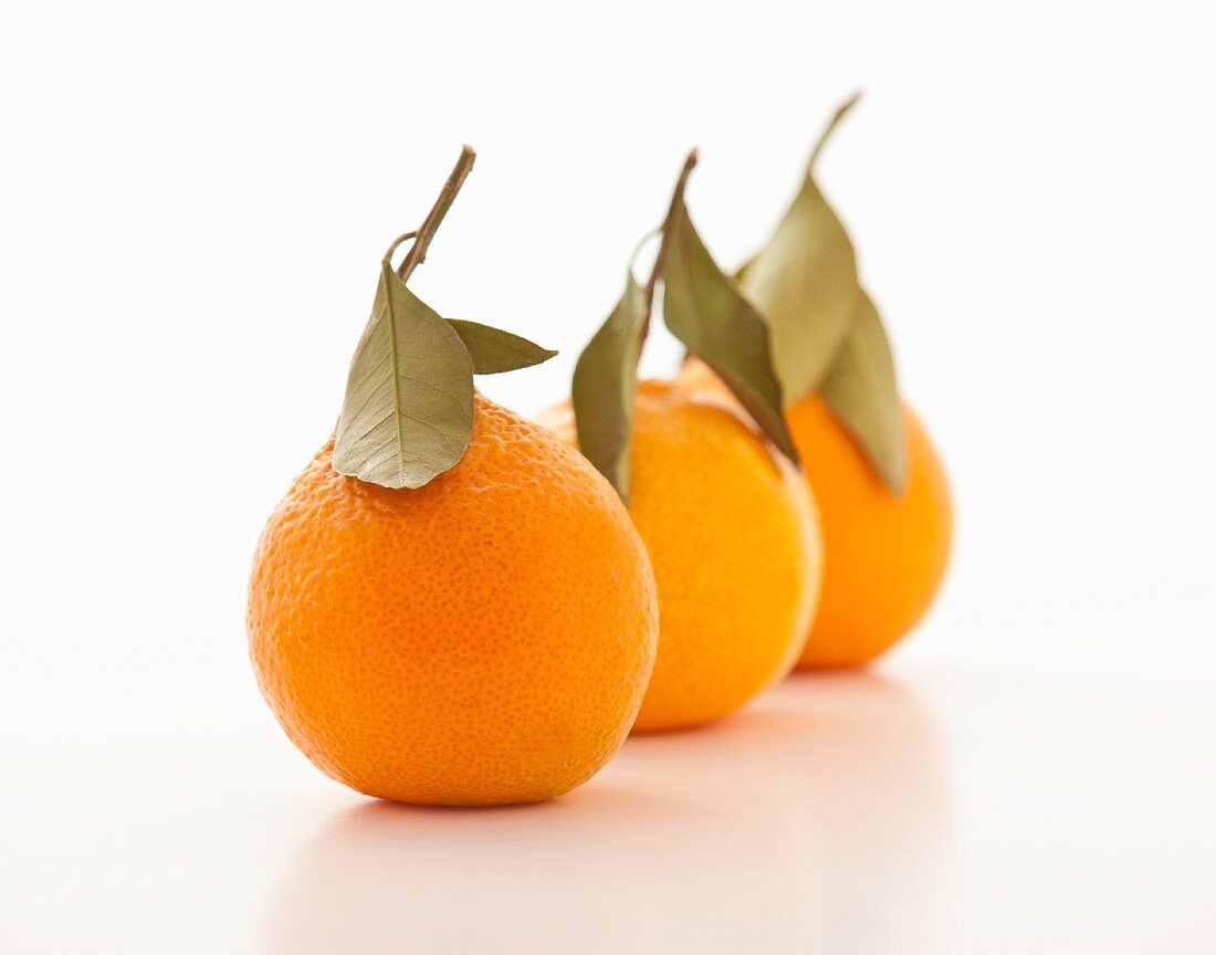 Drei Mandarinen mit Blatt