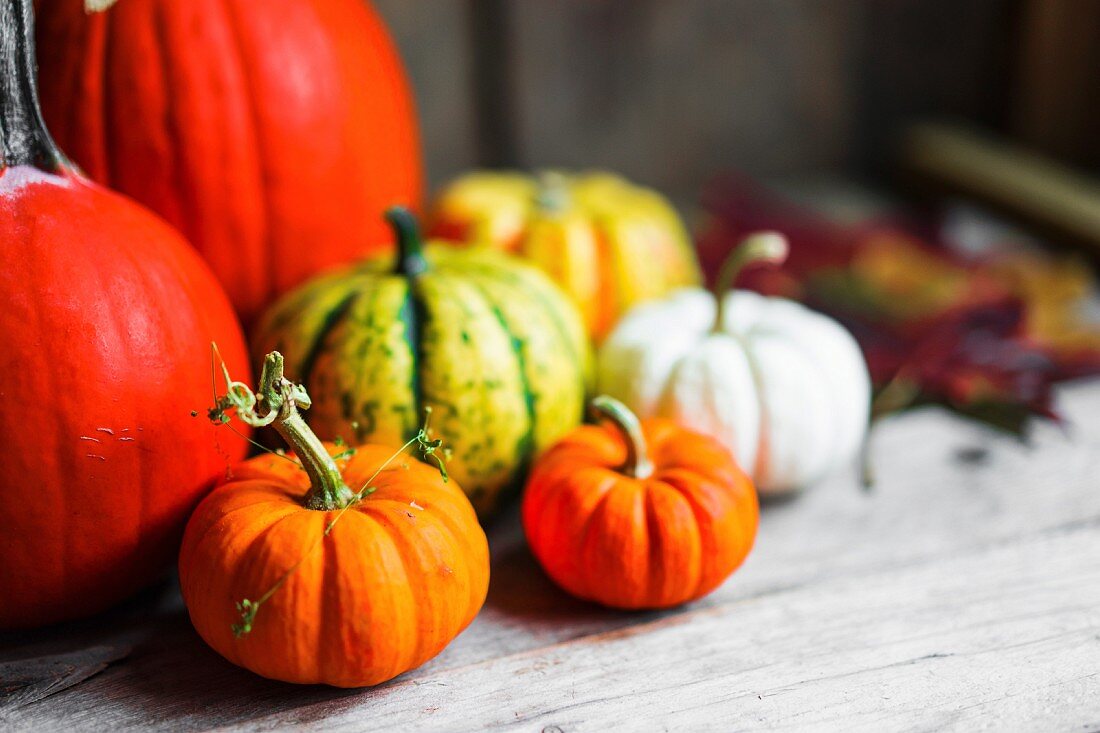 Bunte Kürbisse und Herbstblätter auf rustikalem Holzuntergrund