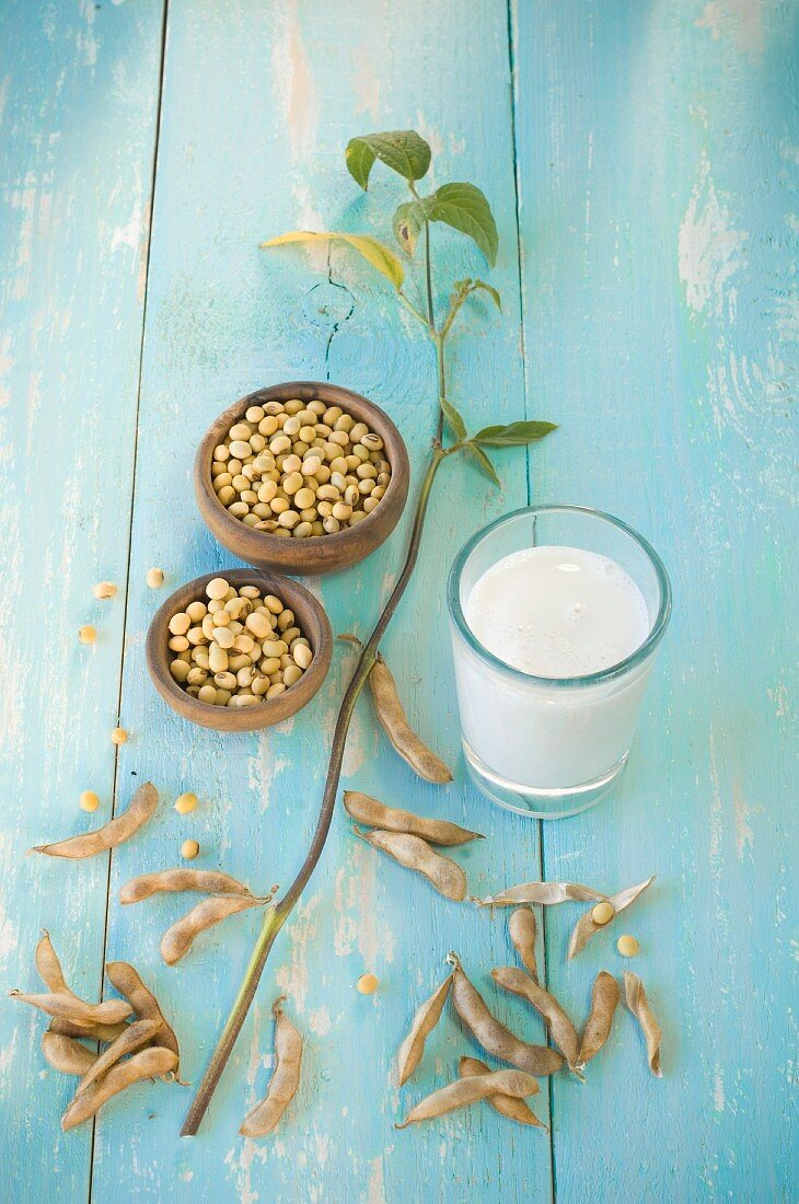 Glass of soya milk, dishes of soya beans and a sprig of soya beans