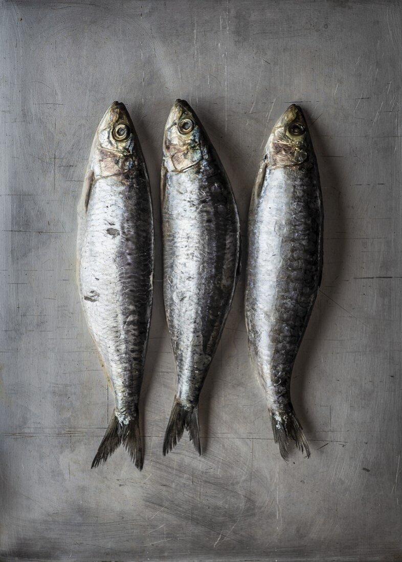 Three fresh sardines (seen from above)