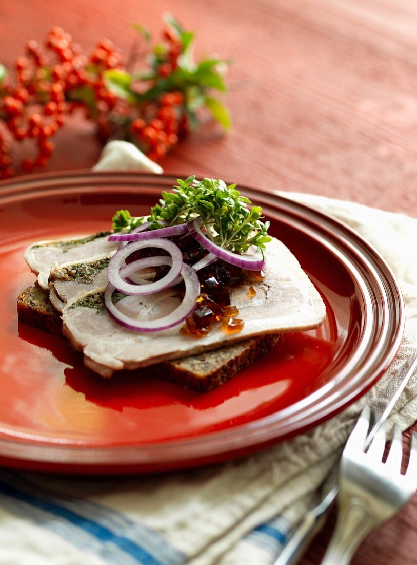 A slice of bread topped with pork, onions and cress
