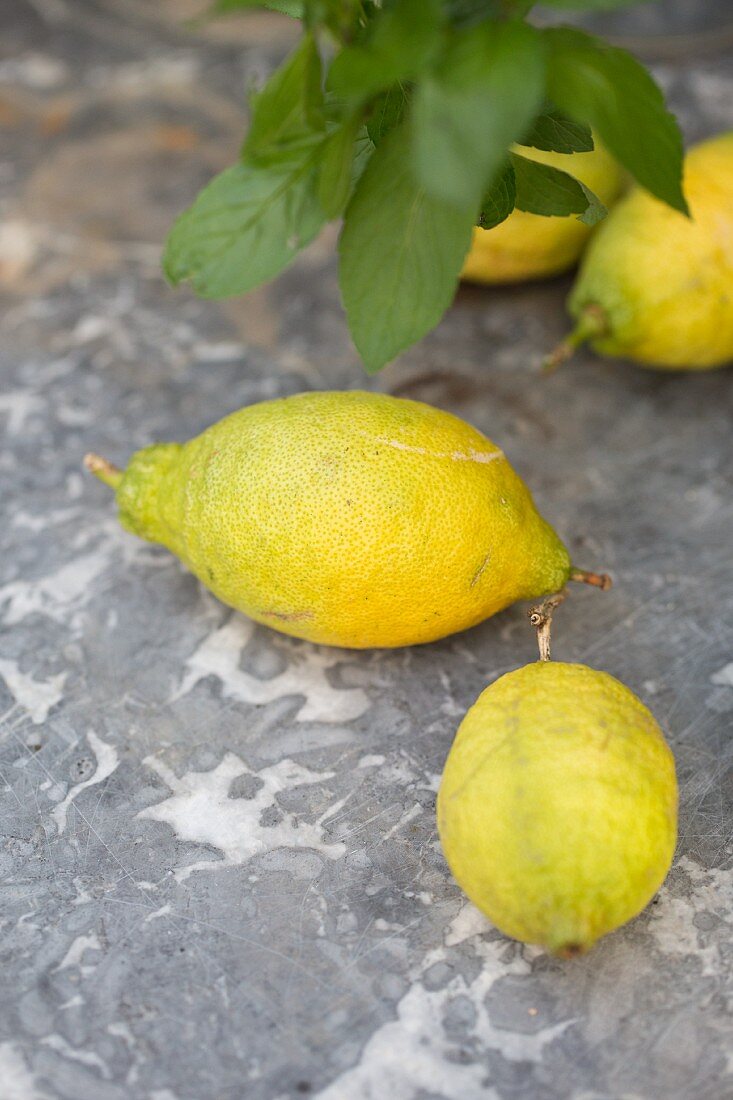 Zitronen vom Baum auf grauem Marmor