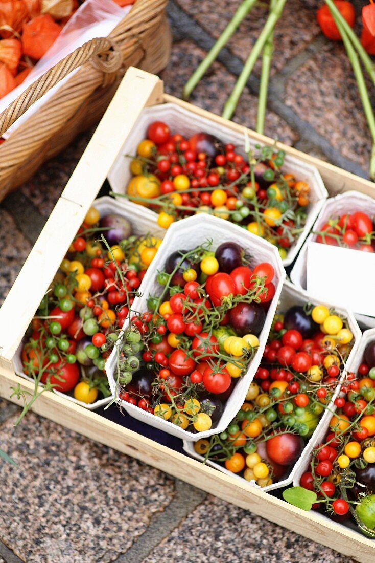 Colourful mini tomatoes in a wooden crate