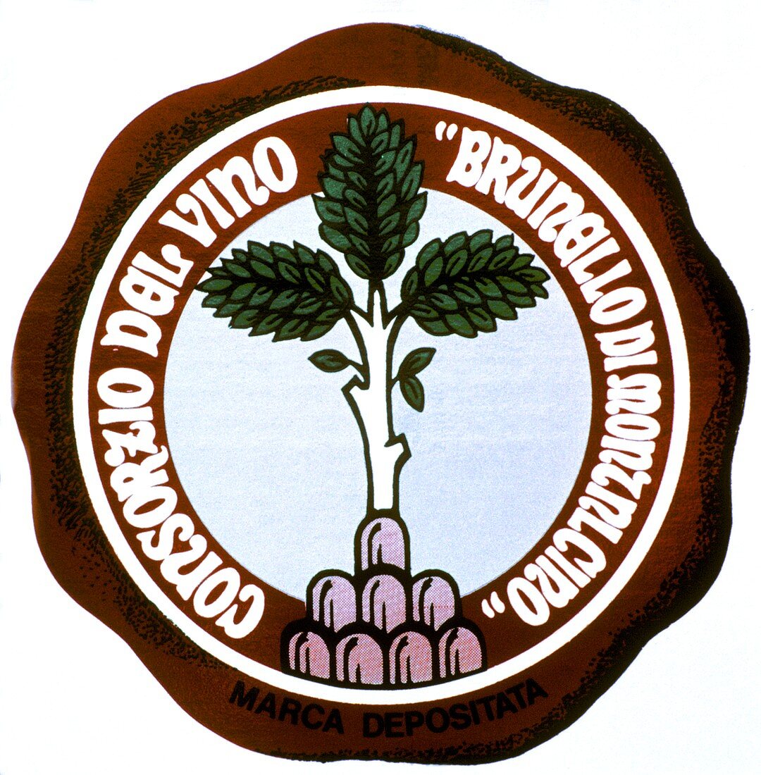 Signet des toskanischen Edel-Rotweins Brunello di Montalcino