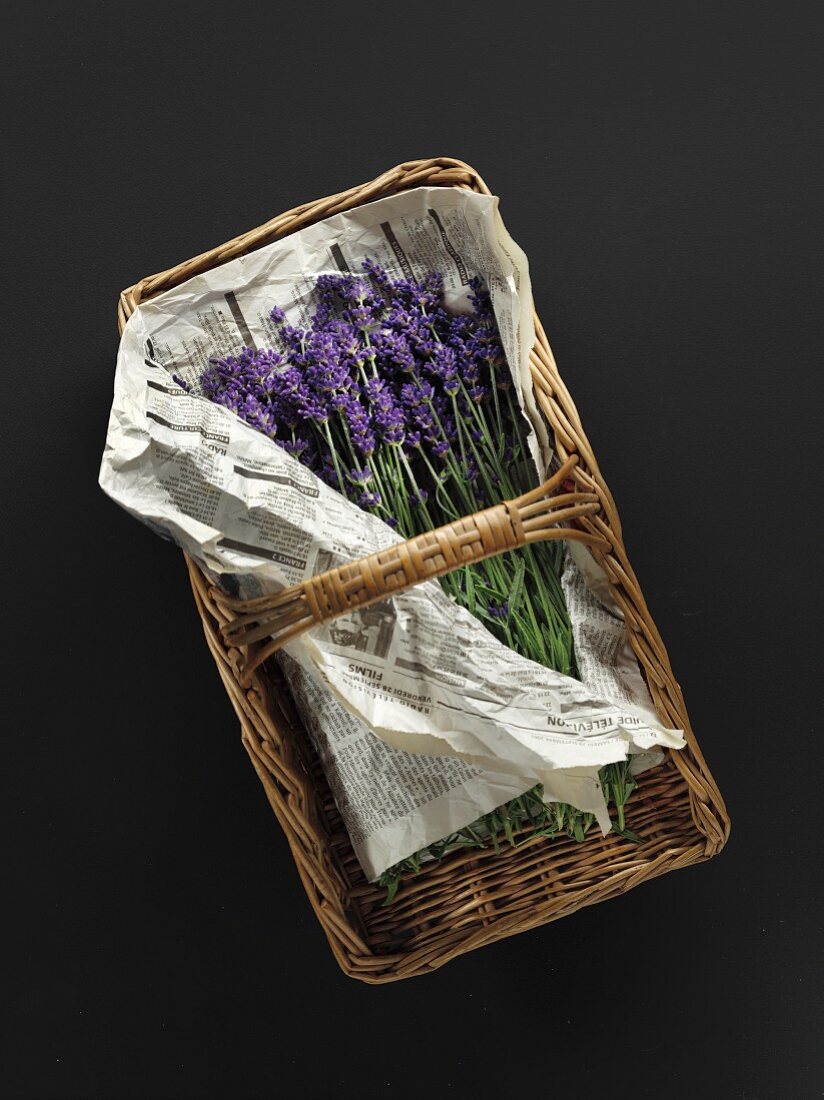 Blühender Lavendel auf Zeitungspapier im Erntekorb