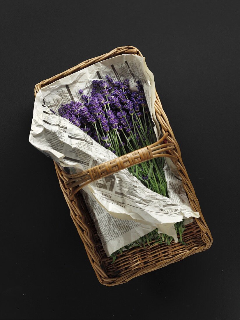 Flowering lavender on newspaper in a basket