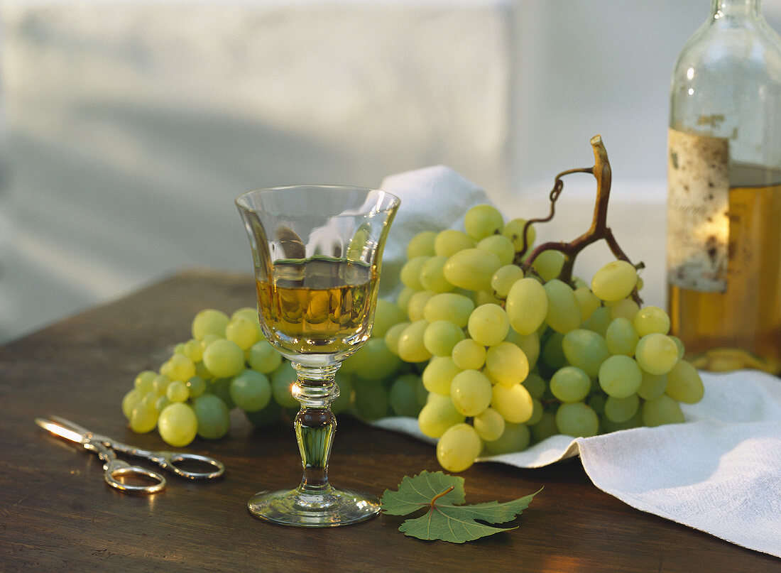 Ein Glas Weißwein vor Weißweintrauben und -flasche