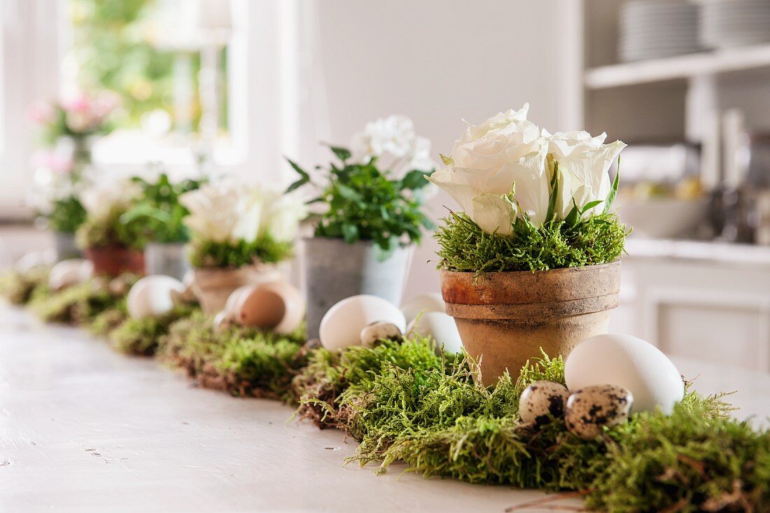 Easter arrangement of eggs and potted plants on bed of moss