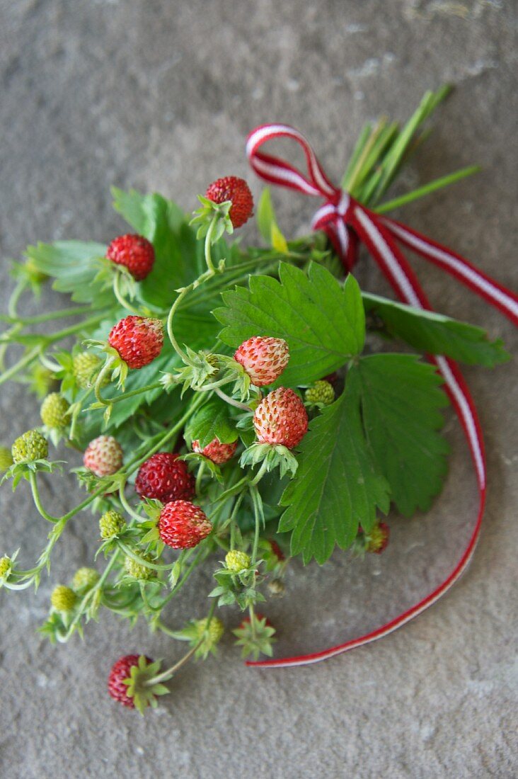 A bouquet of wild strawberries on a slate surface