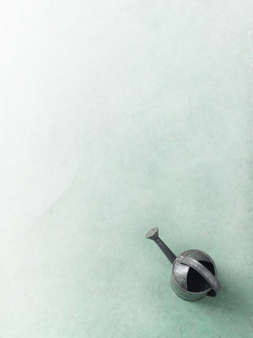 A watering can on a pastel green surface