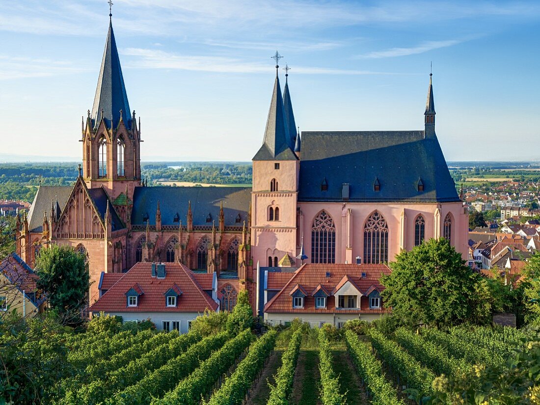 Katharinenkirche in Oppenheim, Rheinhessen, Deutschland