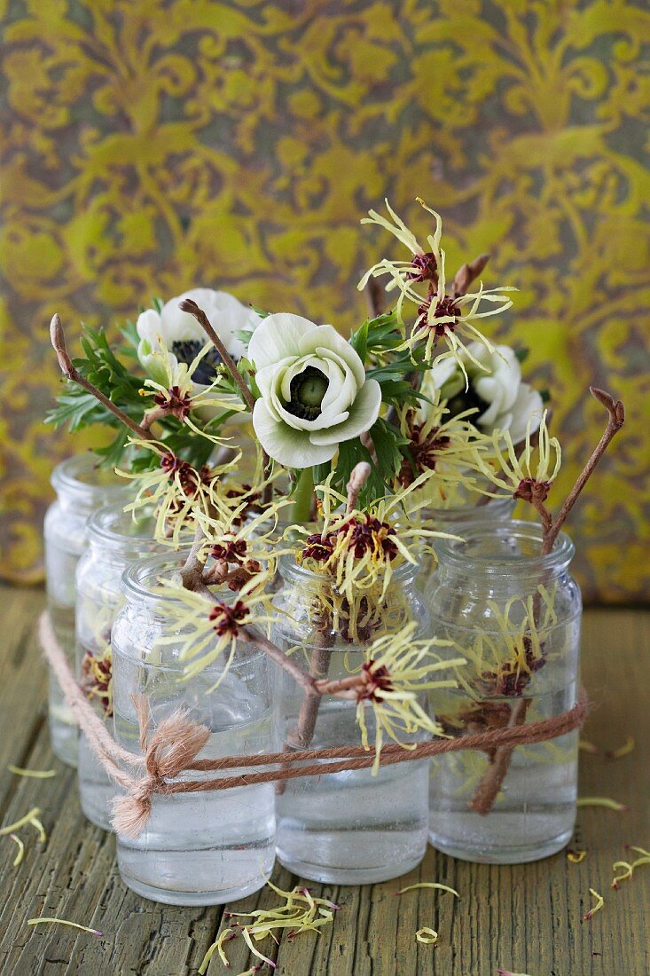 Glass vases of anemones and witch hazel flowers