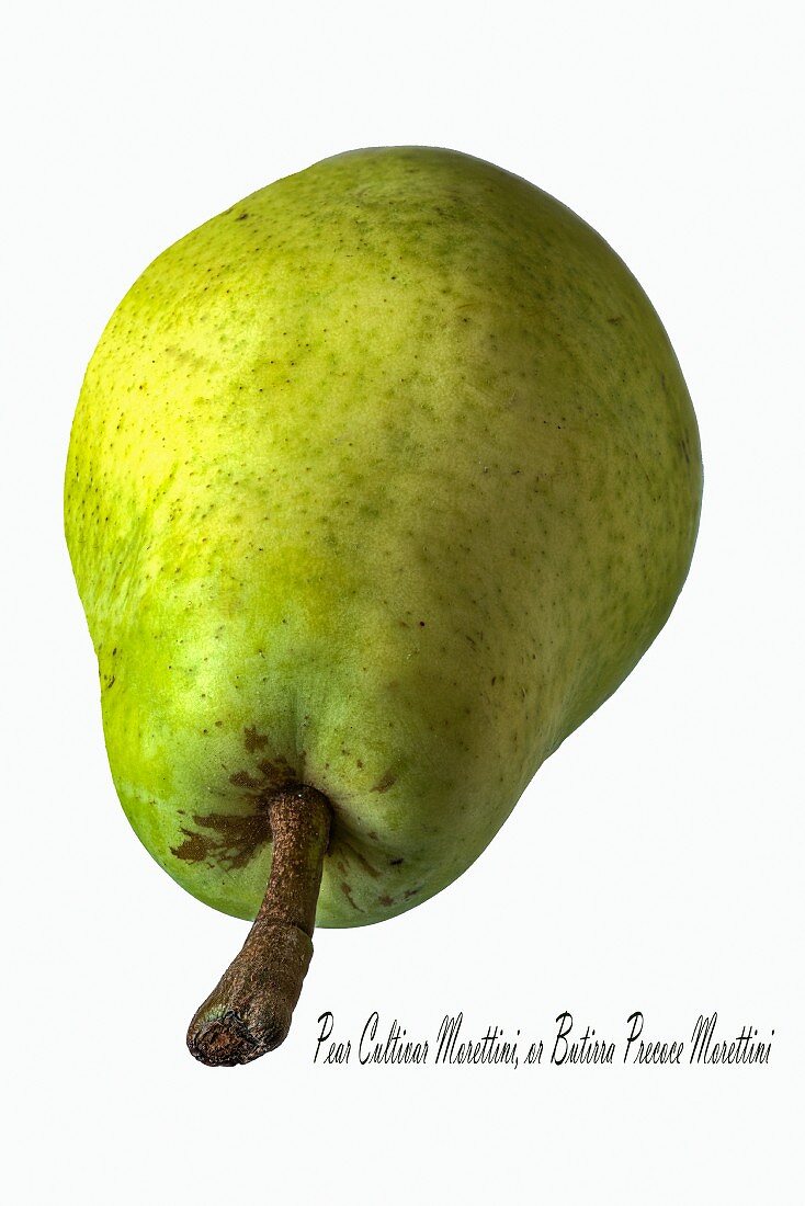 A Santa Maria pear