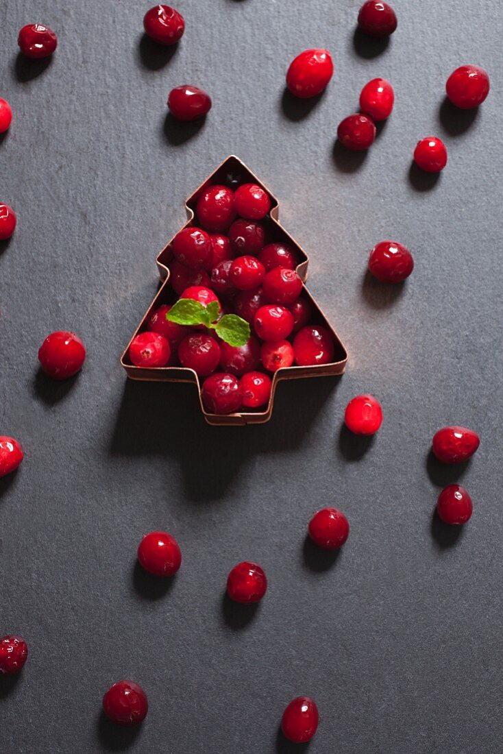 Fresh cranberries in a Christmas tree-shaped cutter
