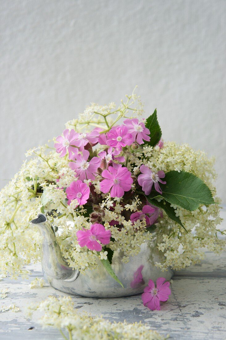 Elderflowers and campion in aluminium kettle