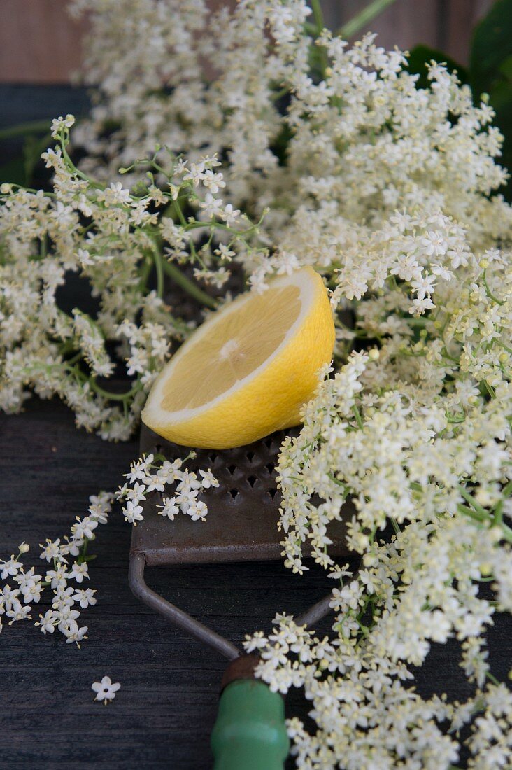 Half a lemon on a grater and elderflowers