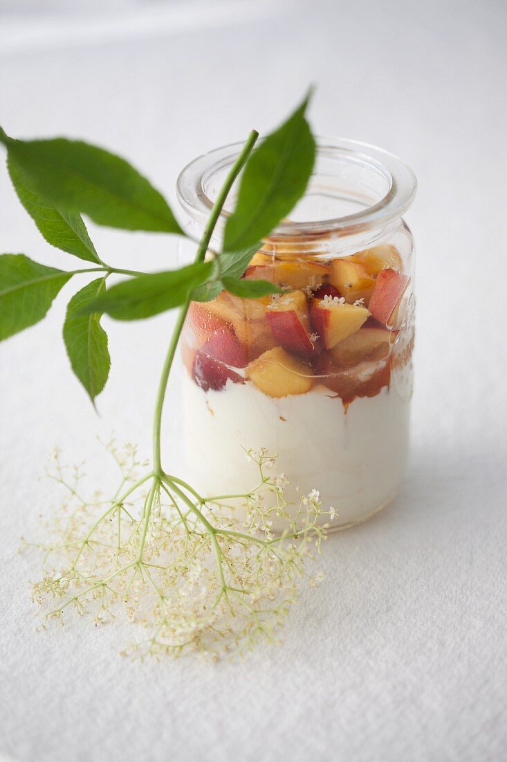 Peach with elderflower yoghurt in a jar with a sprig on edlerflowers