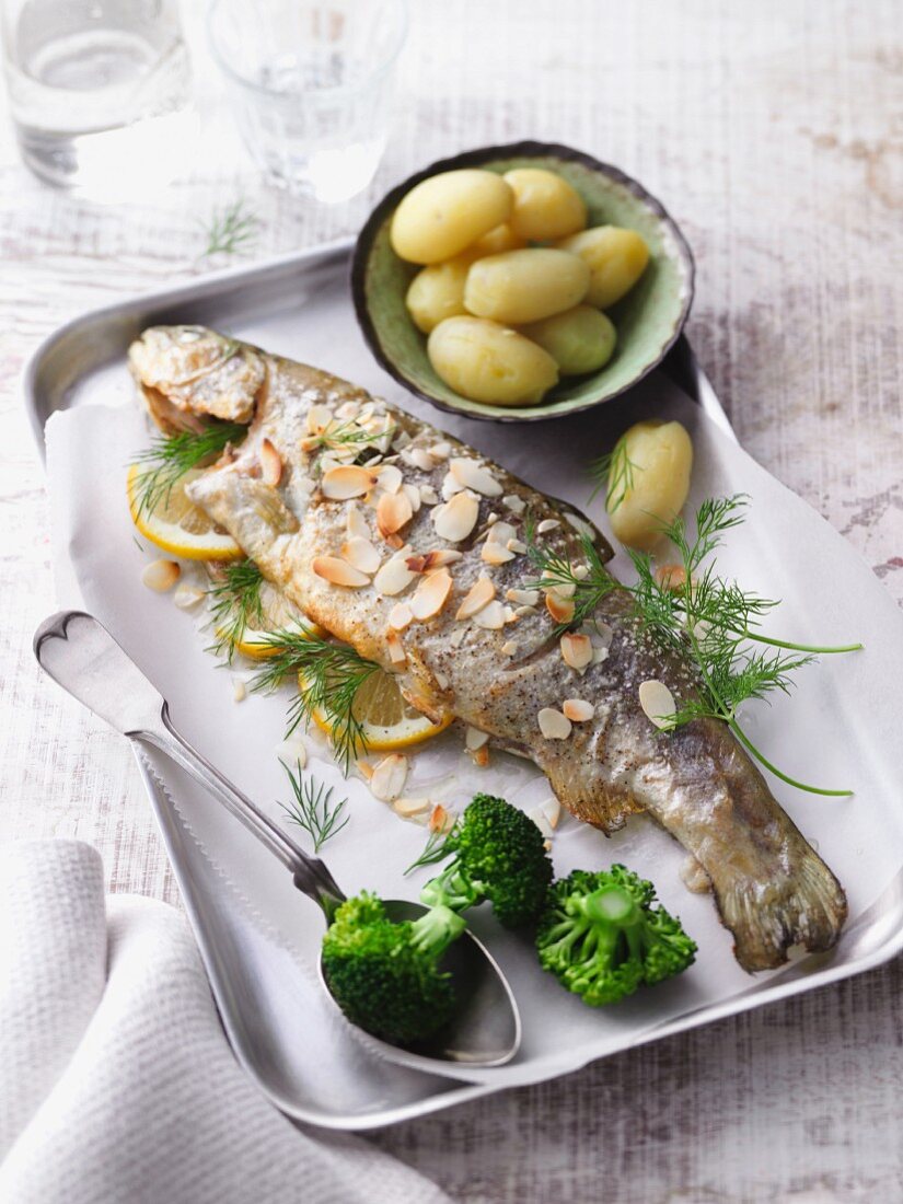 Fries trout with flaked almonds, dill and new potatoes