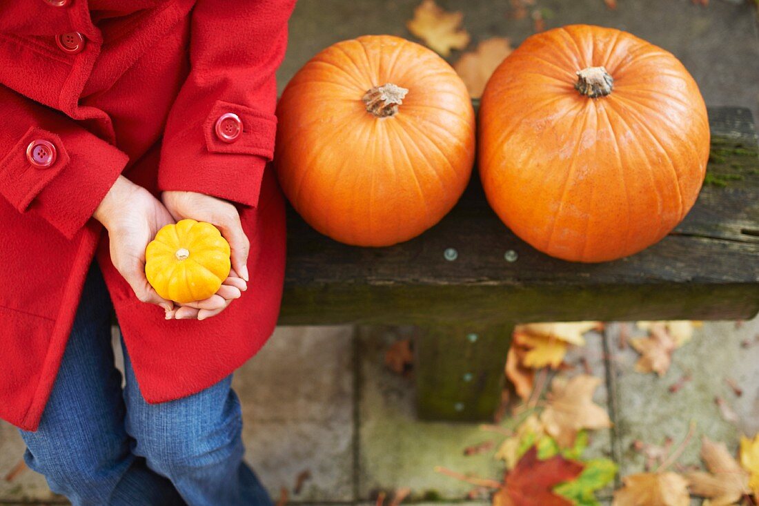 A woman sitting on a bench next to two pumpkins with an ornamental squash in her hands