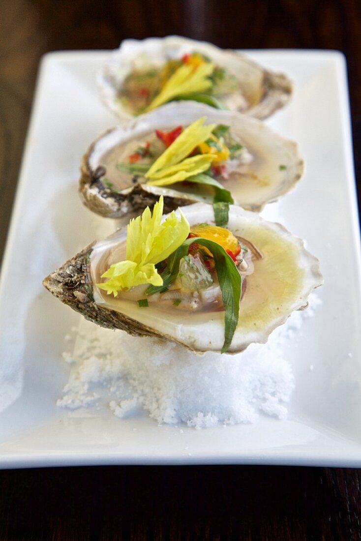 Oysters on a bed of salt