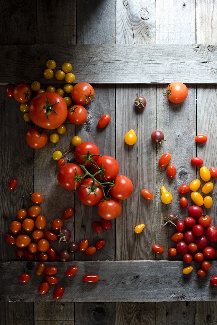 An arrangement of tomatoes in various colours and sizes
