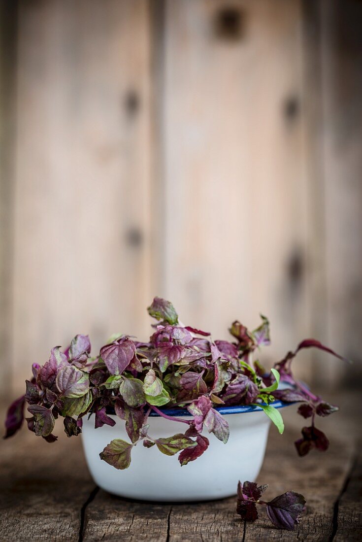 Fresh shiso cress in an enamel bowl