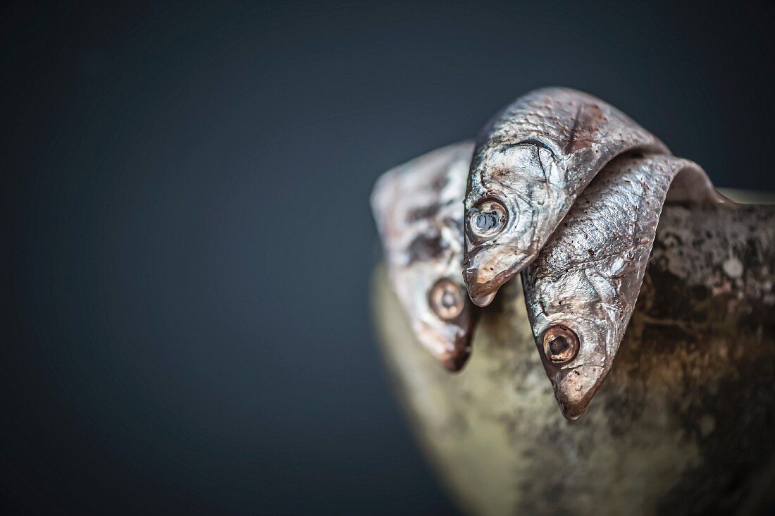 Anchovies in a metal goblet (close-up)