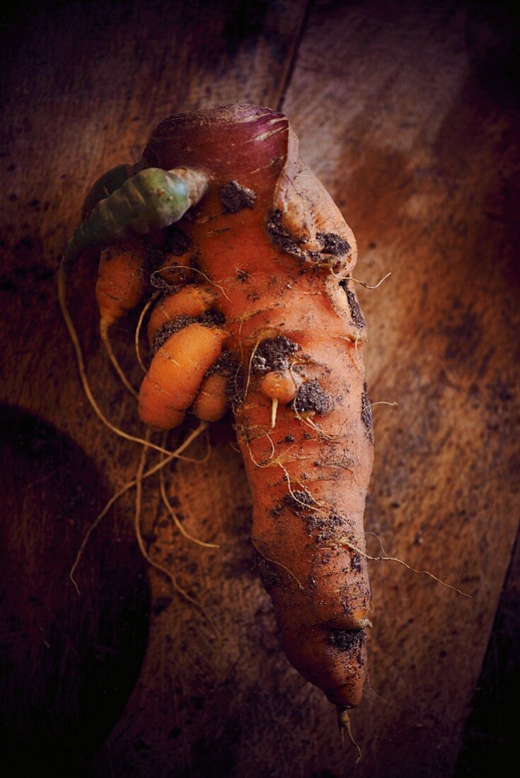 Organic carrots with soil