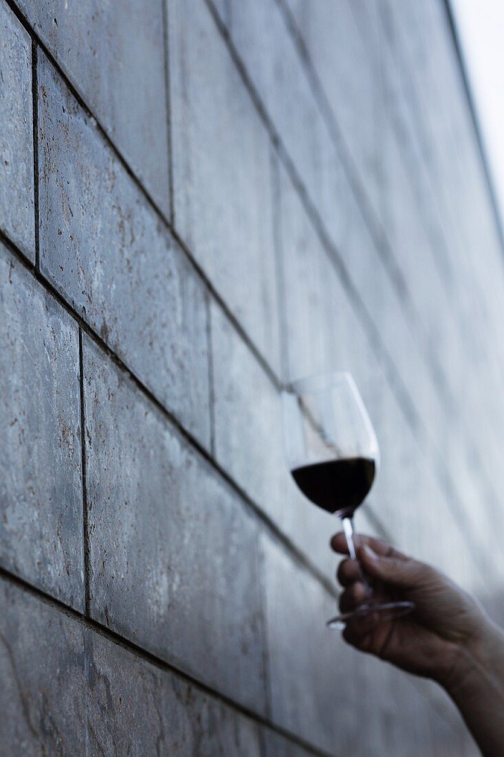 A wine tasting session: a person holding a glass of red wine to check the quality