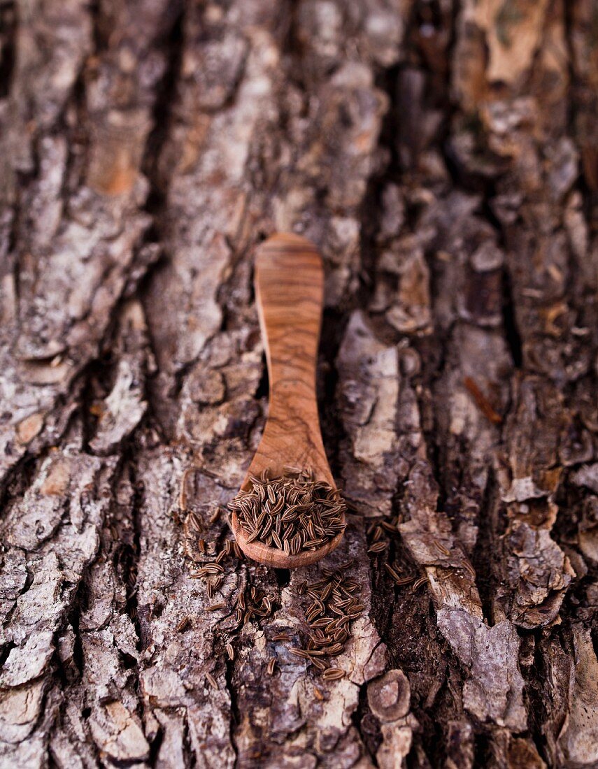 Cumin on a wooden spoon on a piece of bark