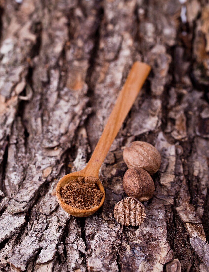 Nutmeg, whole and ground, with a wooden spoon on a piece of bark