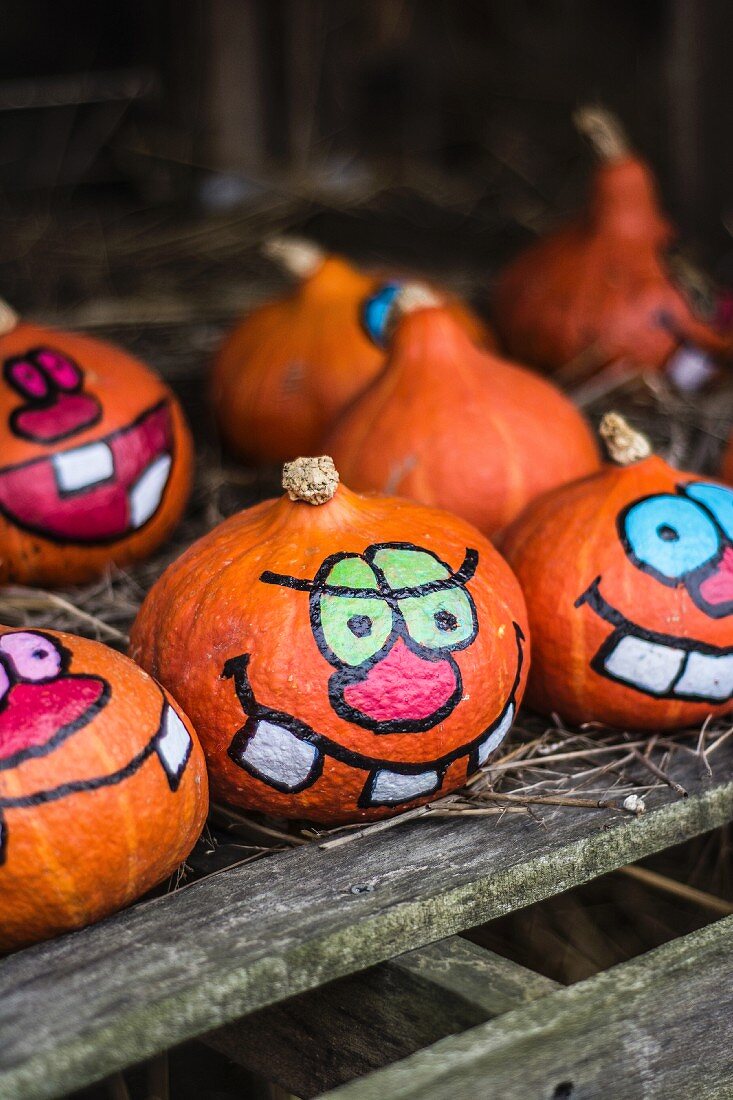 Painted Halloween pumpkins on a farm