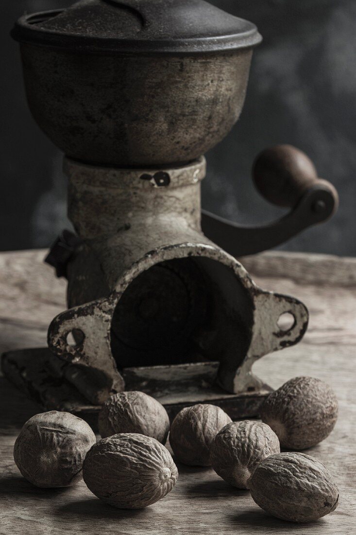 Nutmegs in front of an antique spice mill