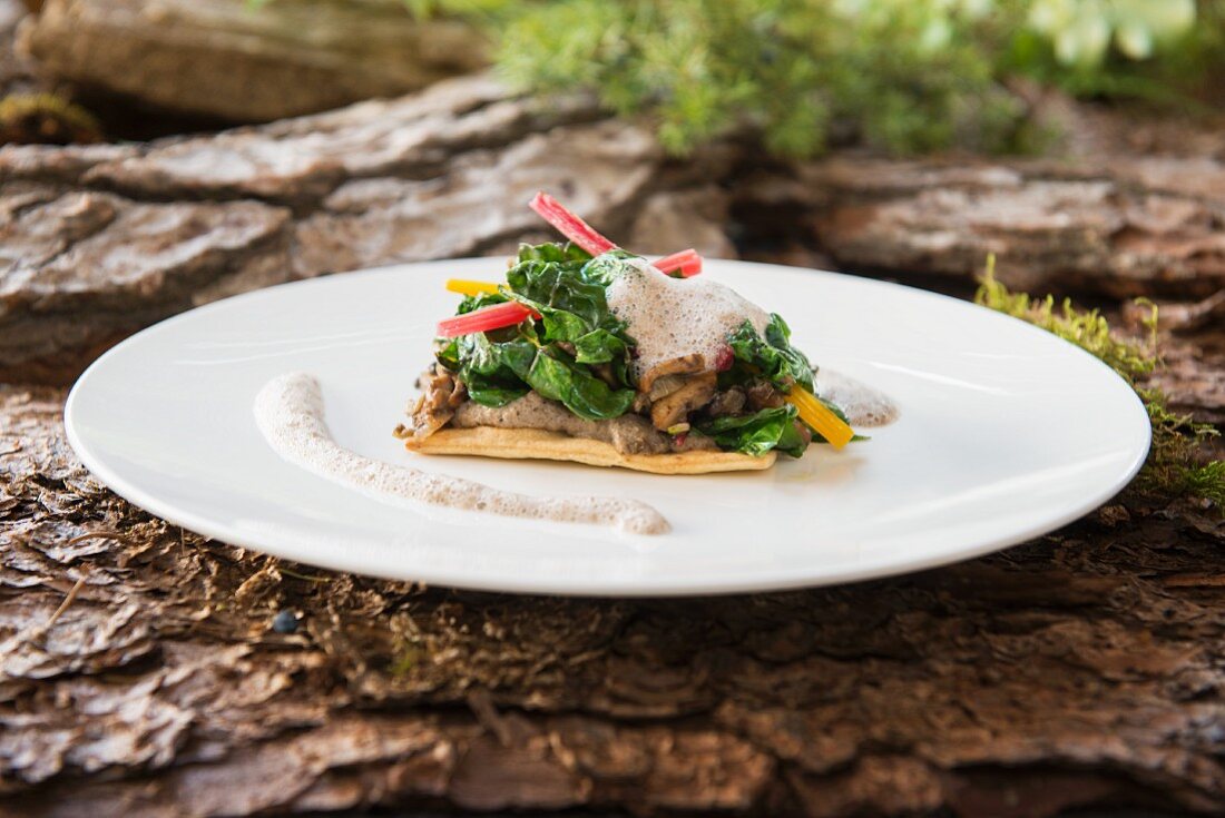 Chard tart with a chanterelle mushroom sauce