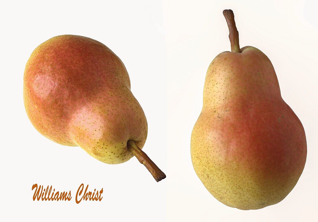Two Williams Christ pears on a white surface