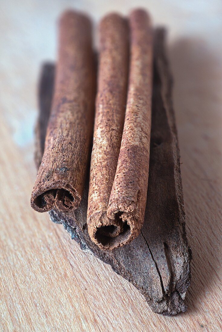 Ceylon cinnamon sticks on a piece of cassia cinnamon