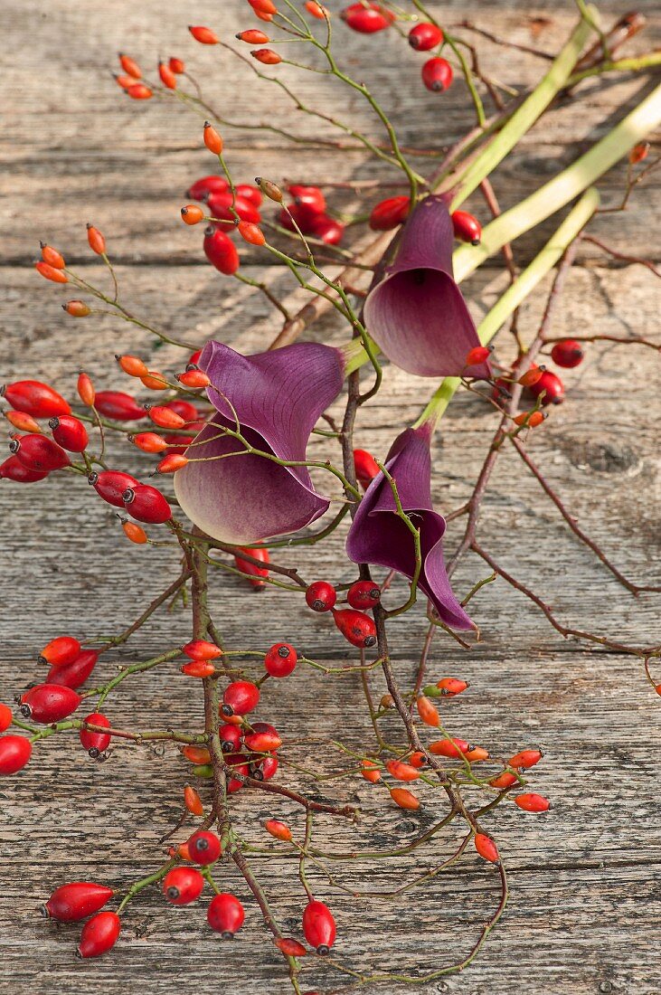Rose hips and calla lilies on wooden table