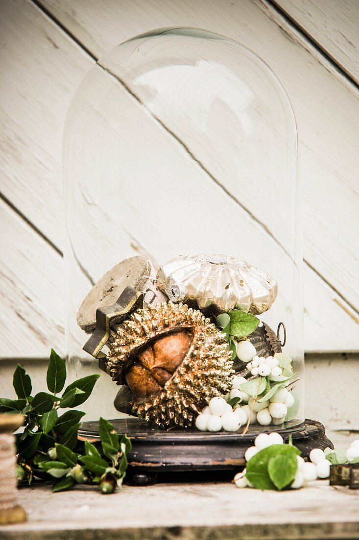 Christmas arrangement of chestnut, snowberries and kermes-oak acorns under glass cover