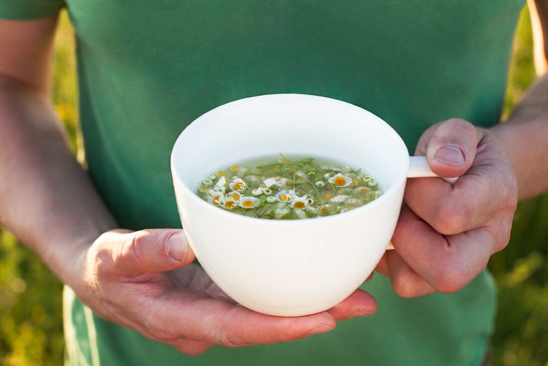 Hands holding a cup of chamomile tea