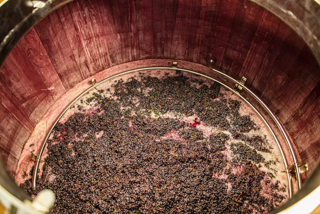 Red wine mash fermenting in a wooden tub