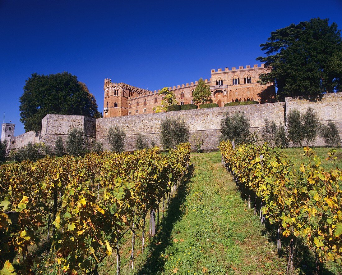 Castello di Brolio (im Besitz der Ricasoli), Chianti Classico