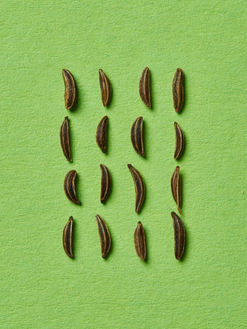 Caraway seeds in rows on a green surface (seen from above)