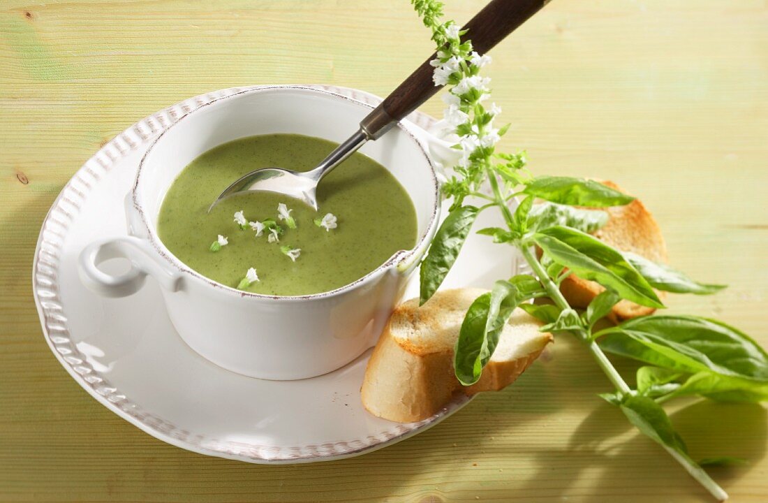Brokkoli-Basilikum-Suppe