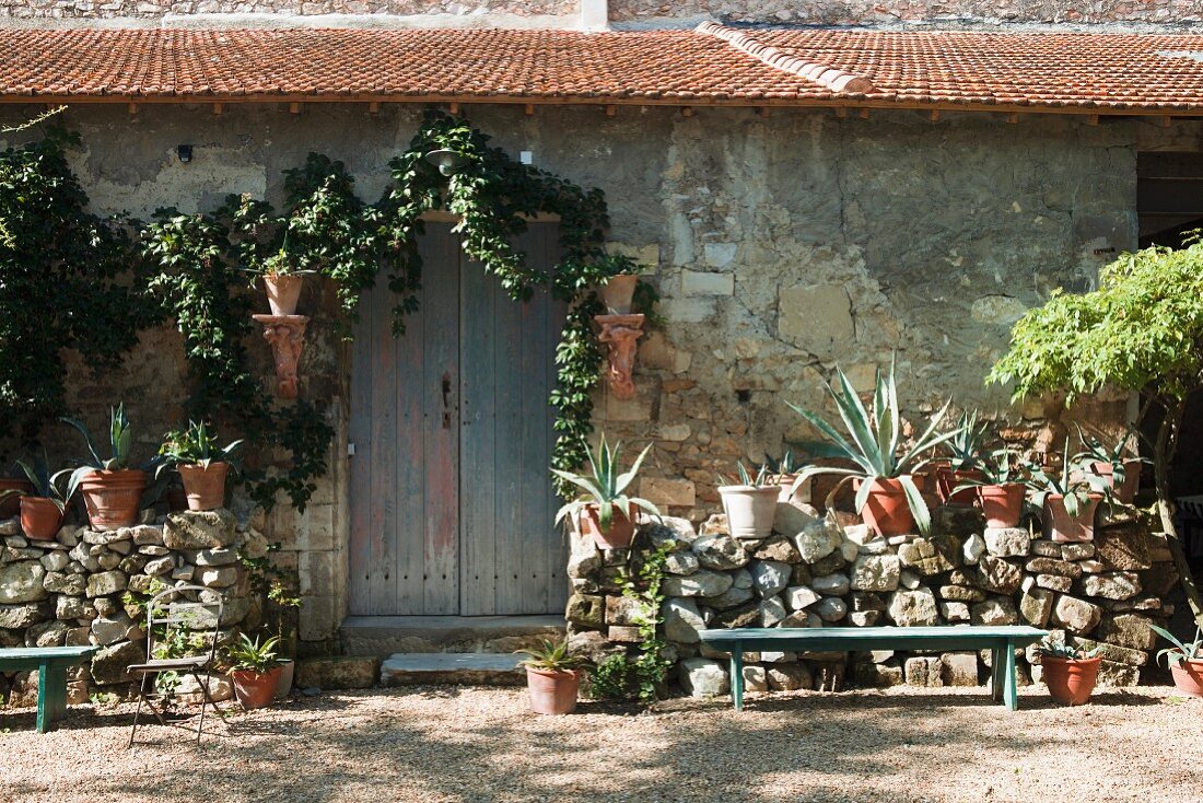 Agaven in Pflanzentöpfe auf halbhoher Steinmauer vor rustikalem Natursteinhaus