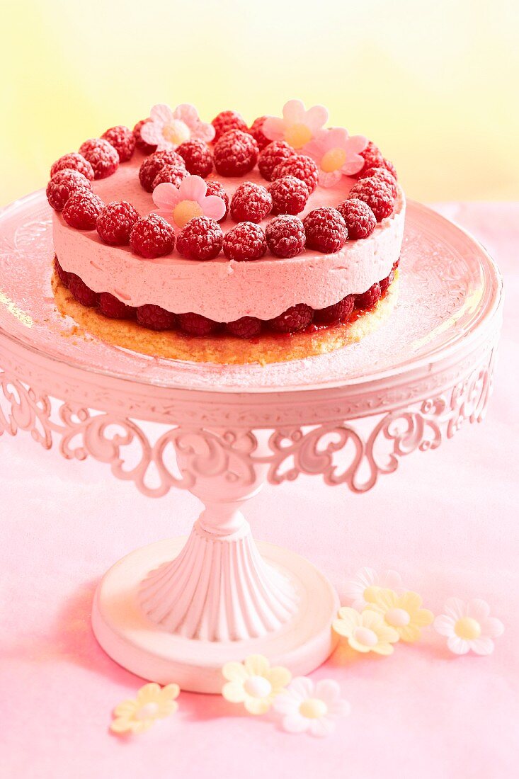 A mini raspberry cake on a pink cake stand