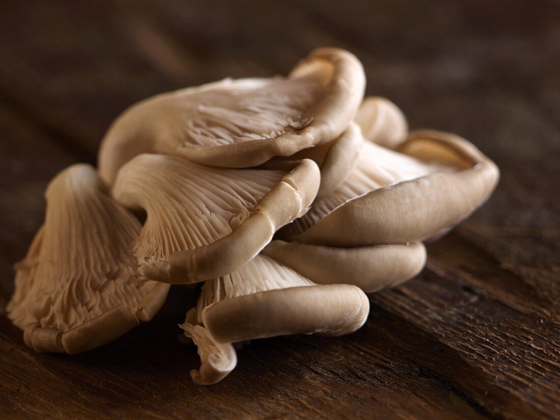 Fresh oyster mushrooms on a wooden surface