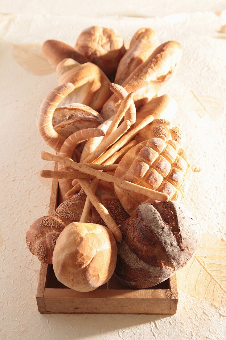 An arrangement of various types of bread